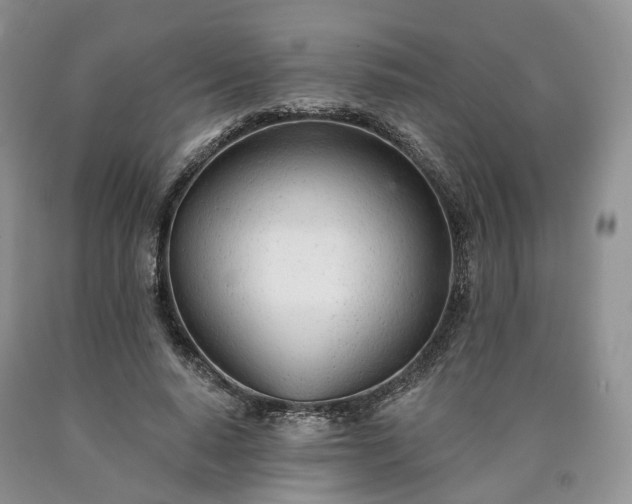 X0000090460640200707201335