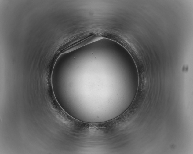 X0000090460641200707201335