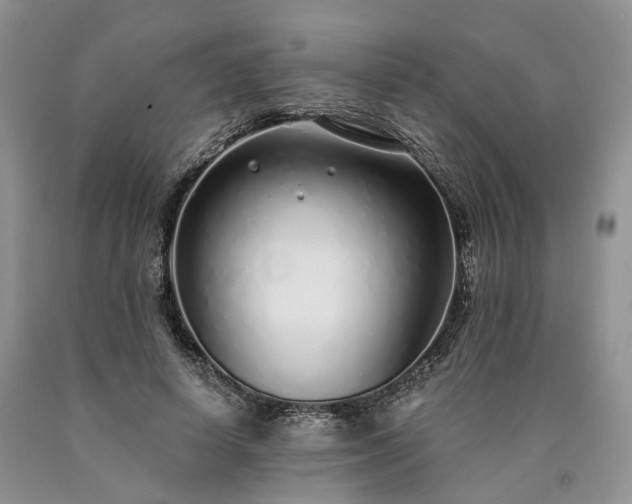 X0000090460642200707201335