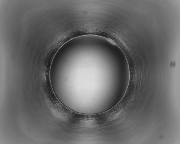X0000090460643200707201335