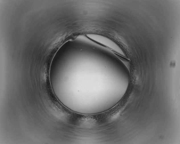 X0000090460644200707201335