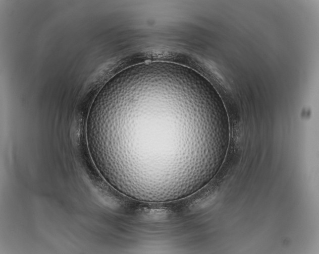 X0000090460645200707201335
