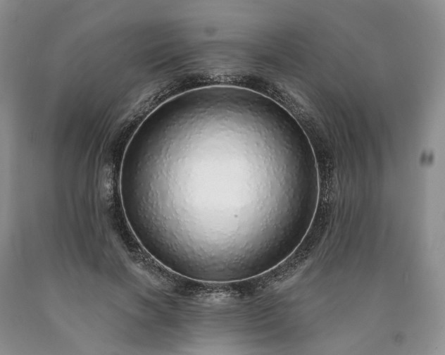 X0000090460646200707201335