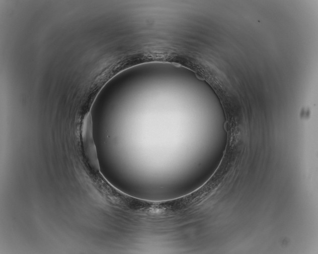 X0000090460647200707201335