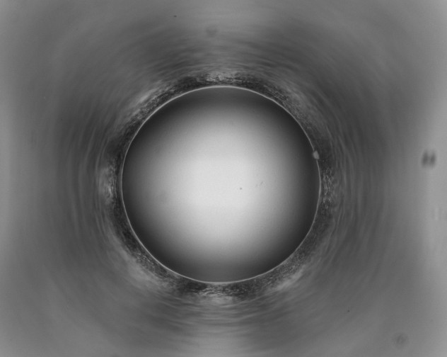 X0000090460648200707201335