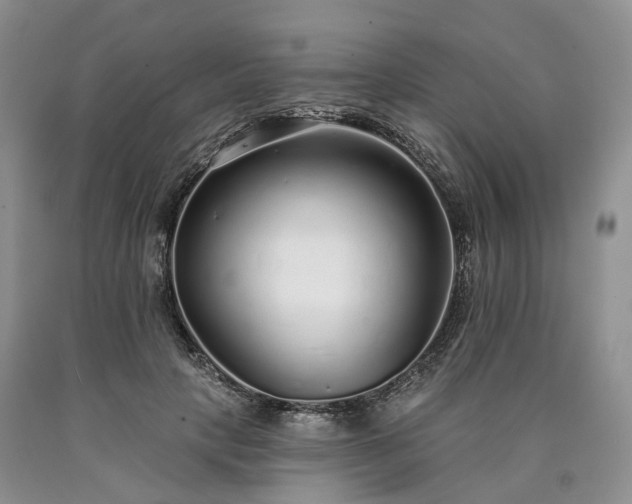 X0000090460649200707201335
