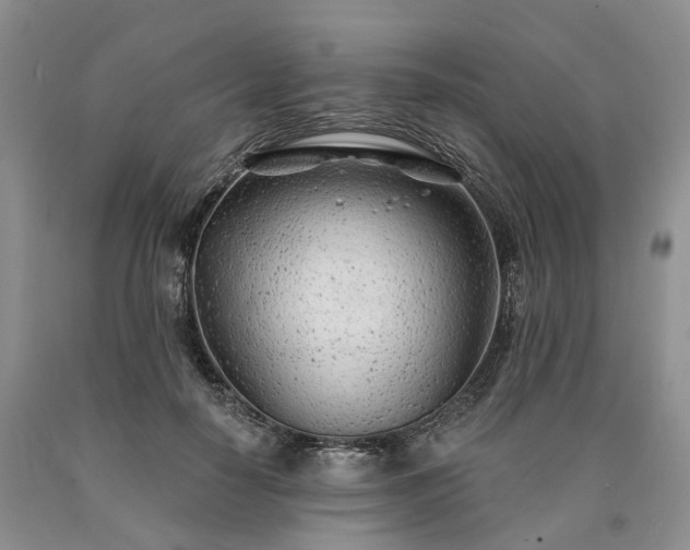 X0000090460650200707201335
