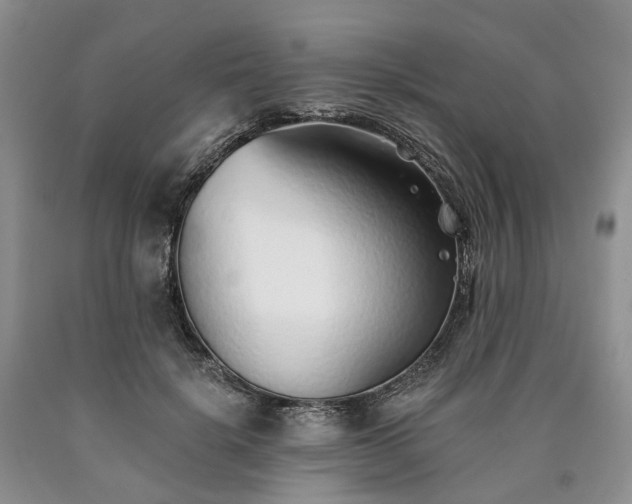 X0000090460652200707201335
