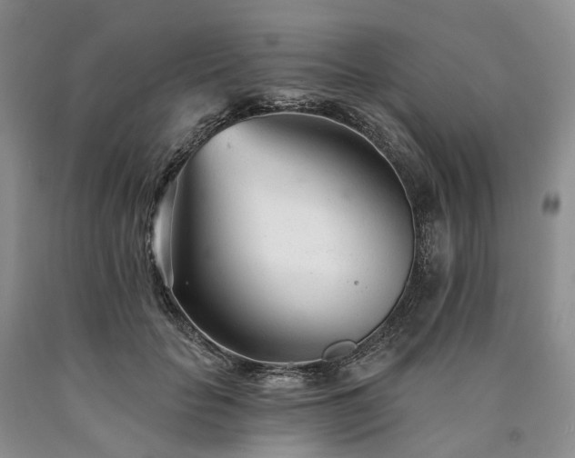 X0000090460653200707201335