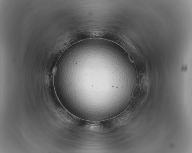 X0000090460655200707201335
