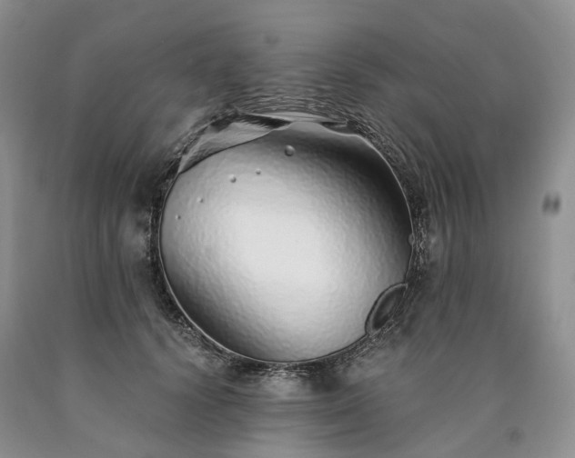 X0000090460656200707201335