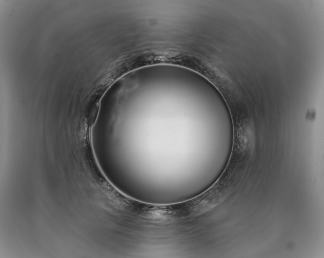 X0000090460657200707201335