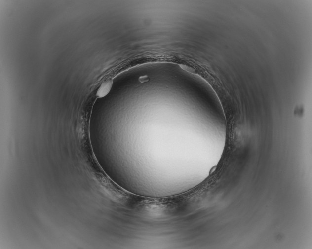 X0000090460658200707201335