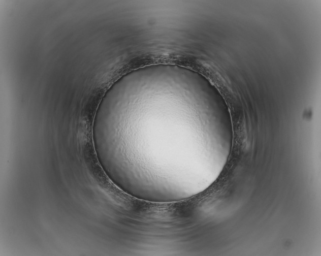 X0000090460659200707201335