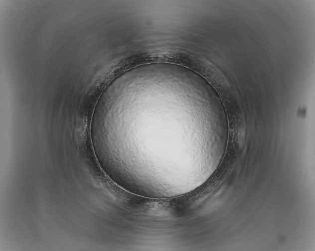 X0000090460660200707201335