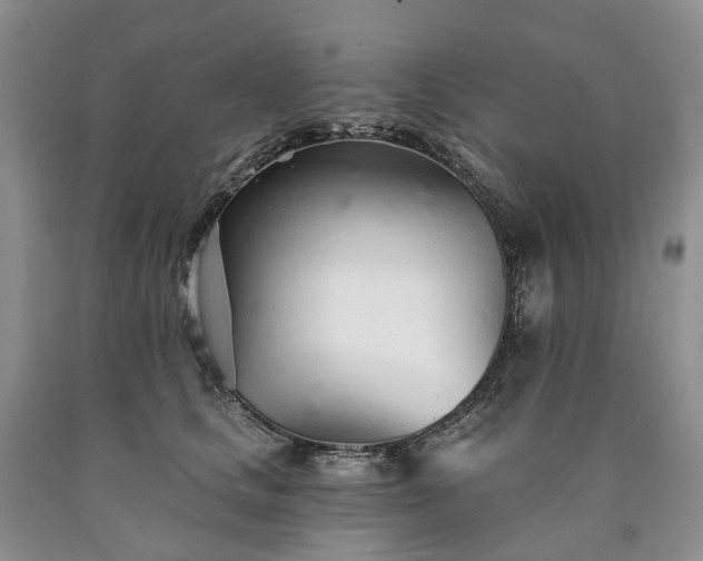 X0000090460661200707201335