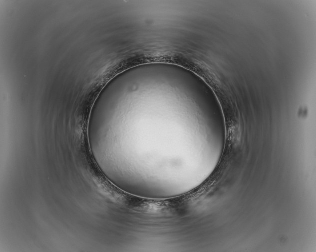 X0000090460662200707201335