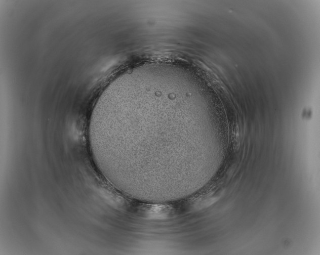 X0000090460663200707201335
