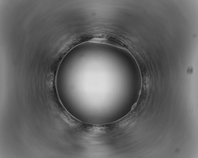 X0000090460664200707201335
