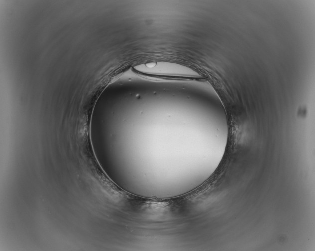 X0000090460665200707201335