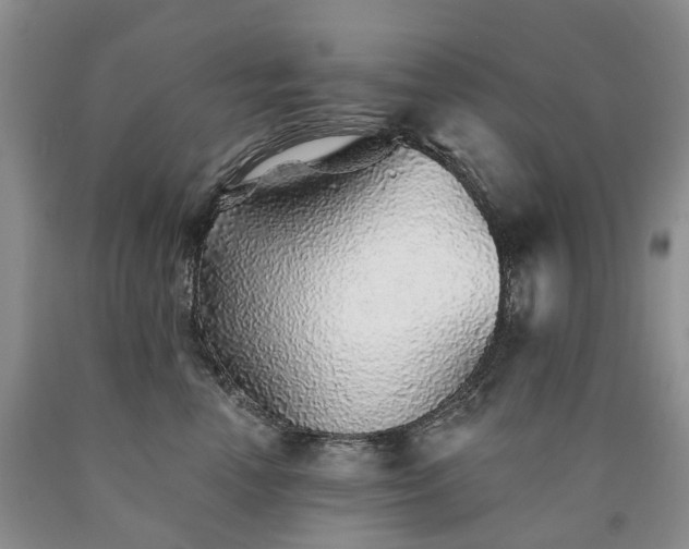 X0000090460666200707201335