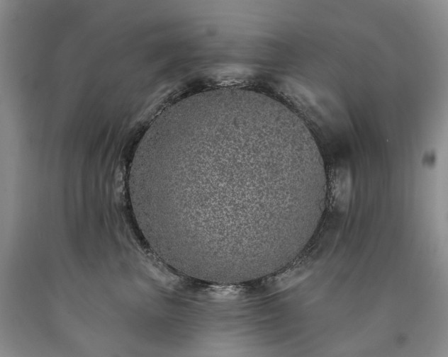 X0000090460667200707201335