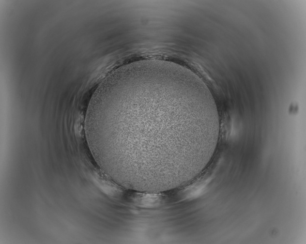 X0000090460671200707201335