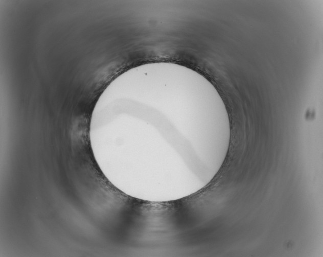 X0000090460672200707201335