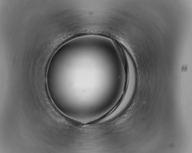 X0000090460673200707201335