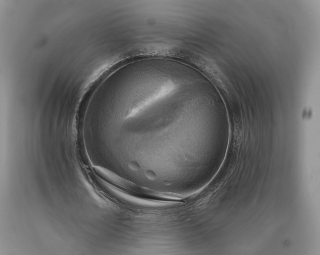 X0000090460674200707201335