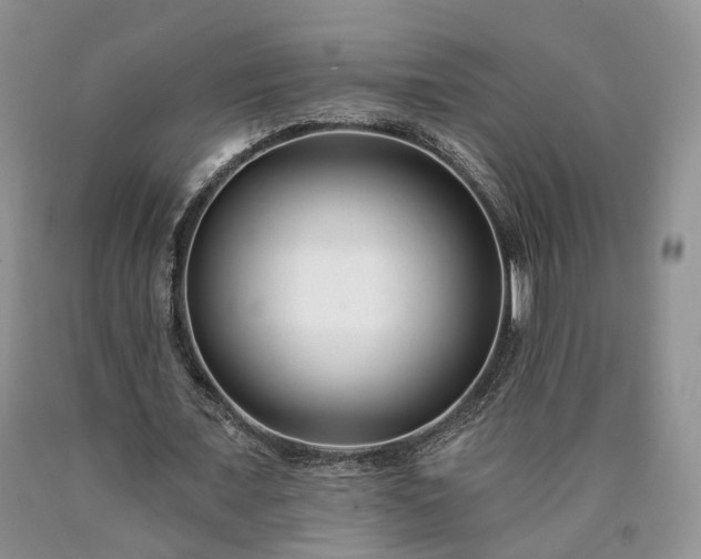X0000090460675200707201335