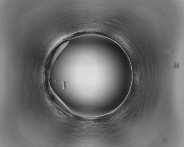 X0000090460676200707201335