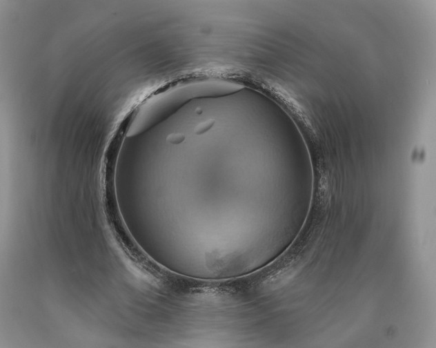 X0000090460678200707201335