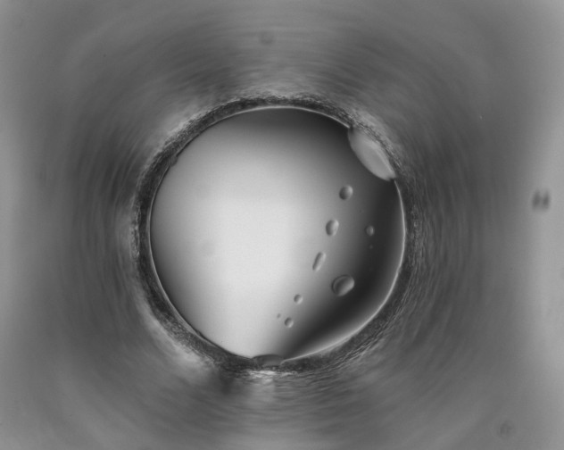 X0000090460680200707201335