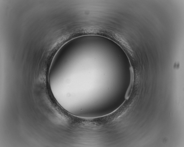 X0000090460681200707201335