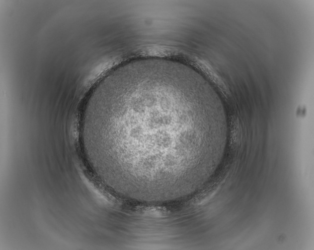 X0000090460683200707201334