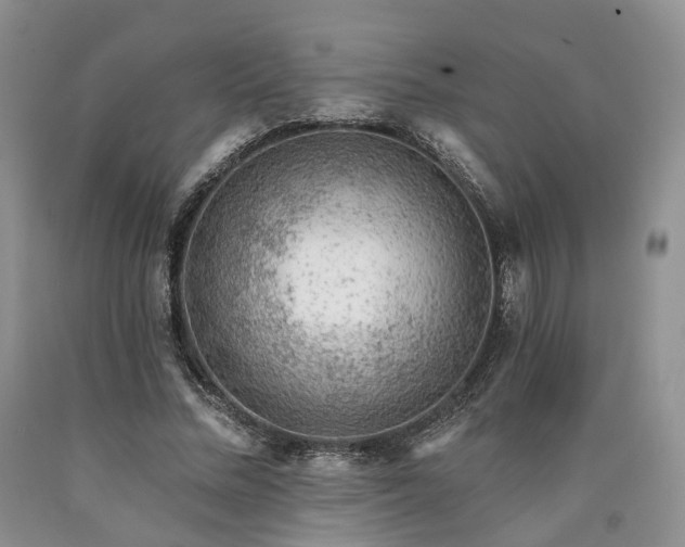 X0000090460684200707201334