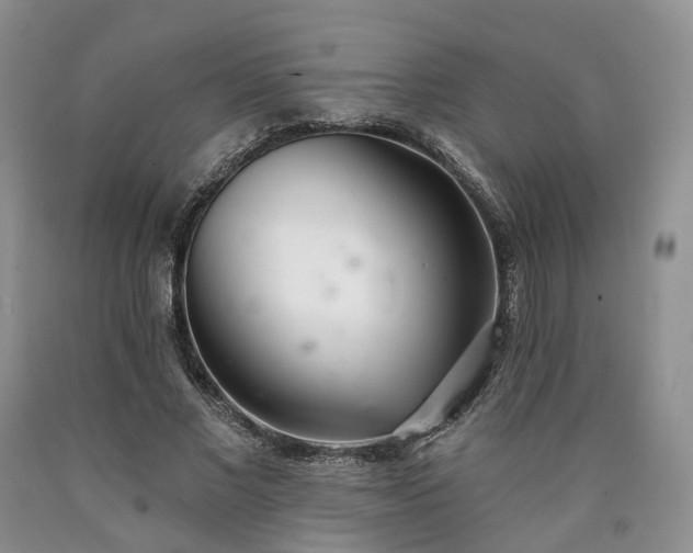 X0000090460685200707201334