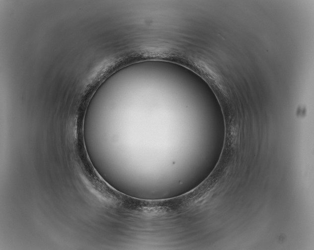 X0000090460686200707201334