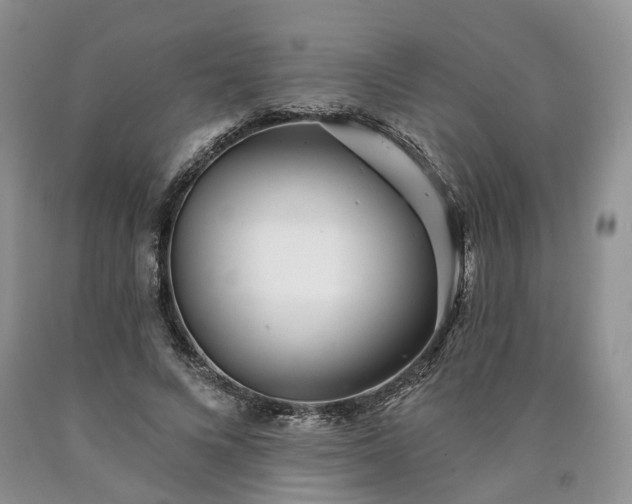 X0000090460688200707201334