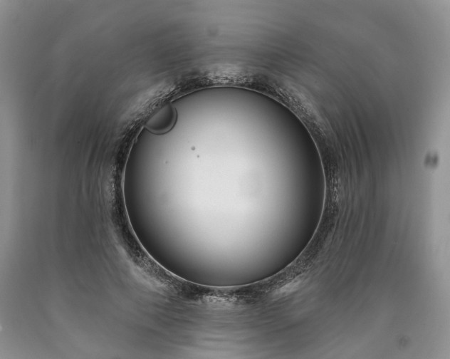 X0000090460690200707201334