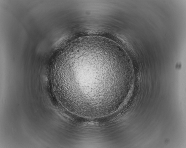 X0000090460691200707201334