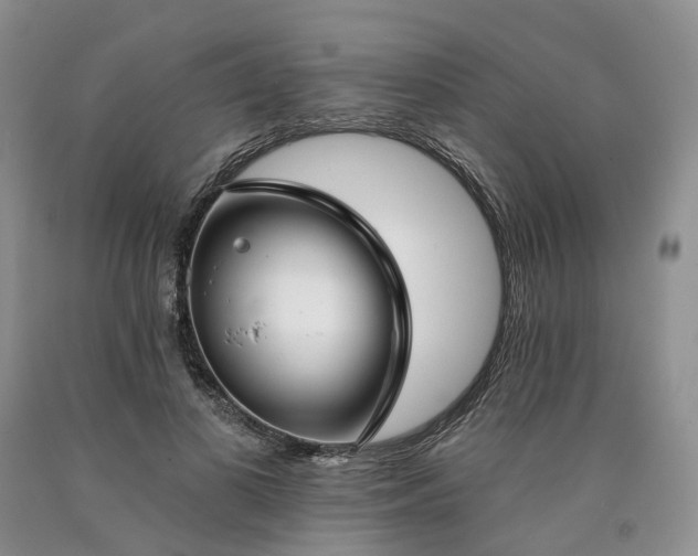 X0000090460693200707201334