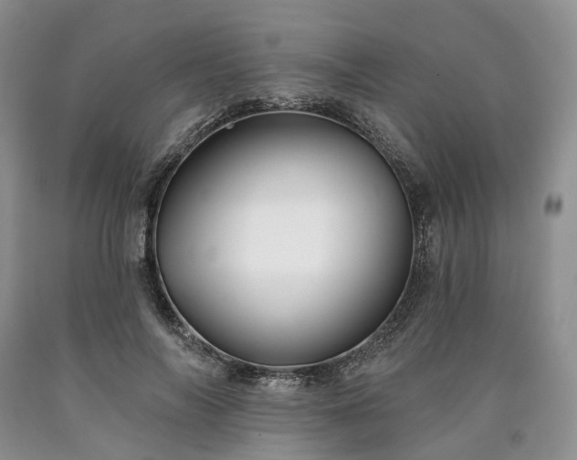 X0000090460694200707201334