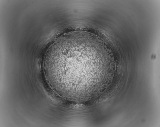 X0000090460695200707201334