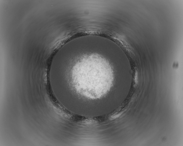 X0000090460696200707201334