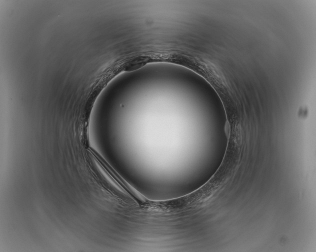 X0000090460697200707201334