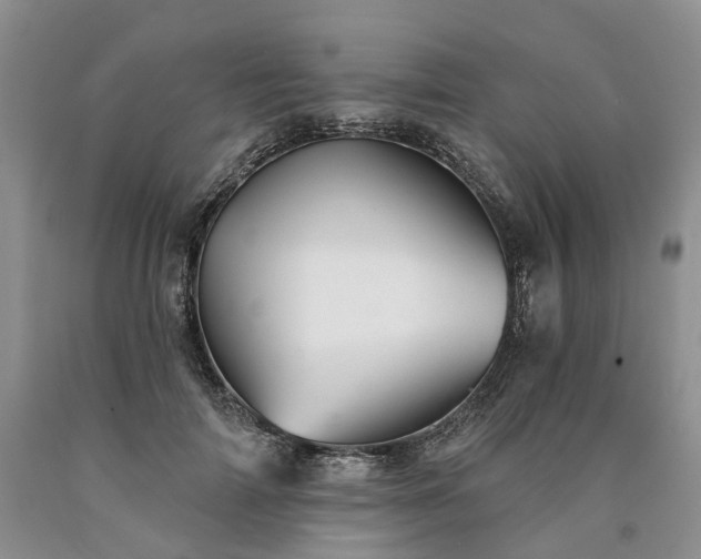 X0000090460698200707201334