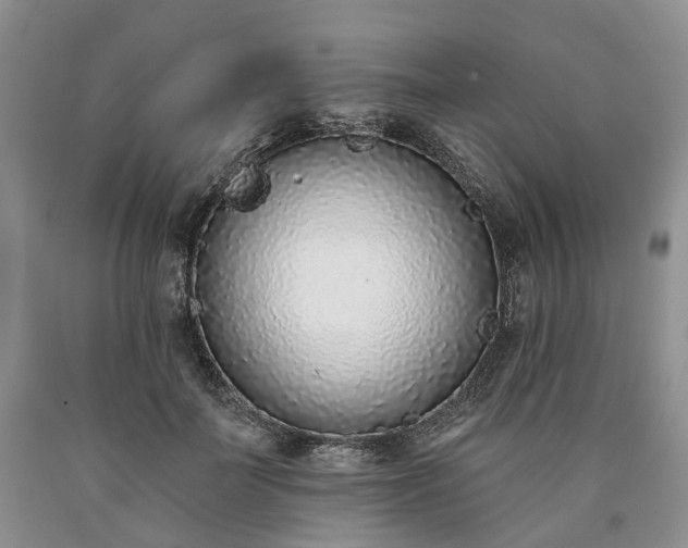 X0000090460699200707201334