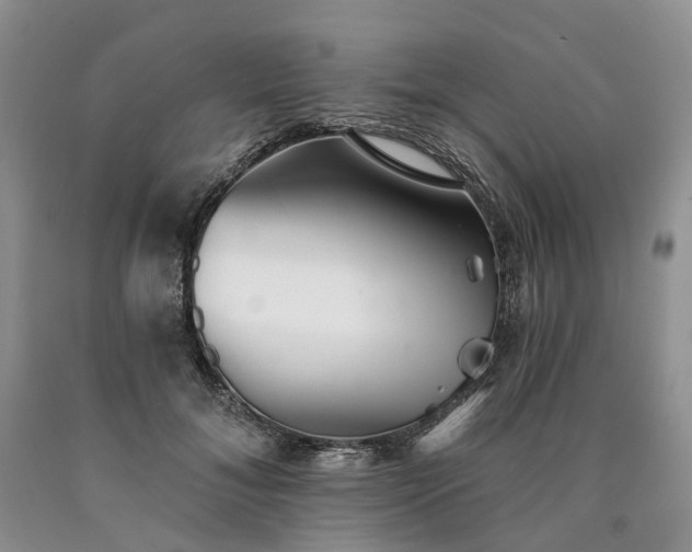 X0000090460700200707201334